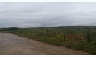 Imóvel 2958874 [''] - ['Área desmembrada do Engenho Nova Esperança Às margens da BR-101 - Km 121 Zona Urbana'] [''] - ['Palmares']/['PE'] - 1