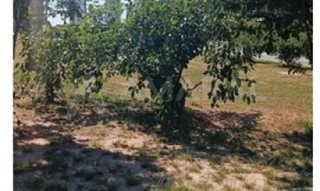 Imóvel 2592574 [''] - ['Rua Funileiro José Marques, s/n – Portal da Mantiqueira'] ['Esplanada Independência'] - ['Taubaté']/['SP'] - 1