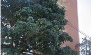 Imóvel 2610275 [''] - ['Rua Campos Sales, 555 - Apartamento 101, Condominío Edifício Colonia. - Centro - Santo André / SP'] ['Centro'] - ['Santo André']/['SP'] - 1