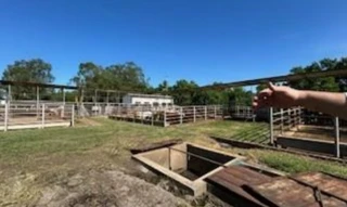 Imóvel 2851775 [''] - ['Chácara São Jeronimo, s/n - Zona Rural - José Bonifácio / SP'] [''] - ['José Bonifácio']/['SP'] - 1