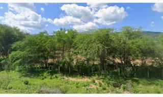 Imóvel 2882175 [''] - ['Fazenda Baraúna Sítios Areia de Baraúna e Canoas Zona Rural'] [''] - ['Areia De Baraúnas']/['PB'] - 1