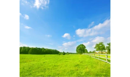 Imóvel rural em Presidente Olegário, , FAZENDA SALITRE, MG. Área: 127.1125m2