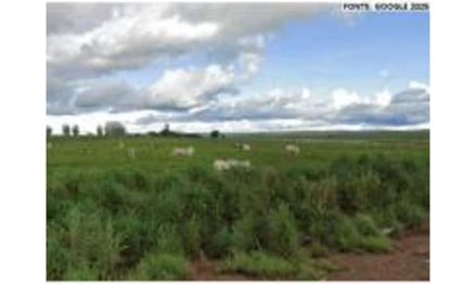 Imóvel rural em Paranatinga, , Fazenda Progresso II, MT. Área: 381.35m2