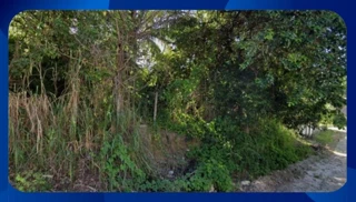 Imóvel 2617275 [''] - [', SN - Pontas de Pedra'] [''] - ['Goiana']/['PE'] - 1