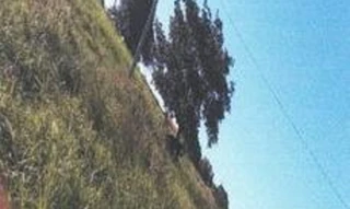 Imóvel 2709775 [''] - ['Fazenda Sítio Boa Esperança, distrito de São José das Traíras, município de Manga'] [''] - ['Manga']/['MG'] - 1