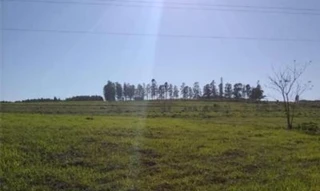 Imóvel 2539375 [''] - ['Gleba Patrimônio Capelinha'] [''] - ['Nova Esperança']/['PR'] - 1