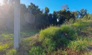 Imóvel 2664675 ['IDR186876'] - ['Rua Carlos Maggioni, S/N, Lote N°12, Quadra N°104, Interior, Cordilheira Alta, SC, 89819-000'] [''] - ['Cordilheira Alta']/['SC'] - 1