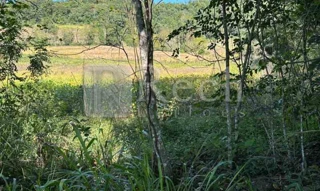 Imóvel 2262175 [''] - ['Linha Birons'] [''] - ['Coronel Bicaco']/['RS'] - 1