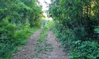 Imóvel 2527175 [''] - ['Rincão de Nossa Senhora, Fontoura Xavier'] [''] - ['Fontoura Xavier']/['RS'] - 1