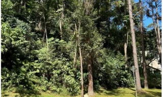 Imóvel 2568375 [''] - ['Estrada do Itaqui, 120 - lote D-18, Condomínio Nova São Paulo - Itaqui - Itapevi / SP'] ['Itaqui'] - ['Itapevi']/['SP'] - 1