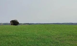 Imóvel 2596575 [''] - ['Nao informado Nao informado'] [''] - ['Nonoai']/['RS'] - 1