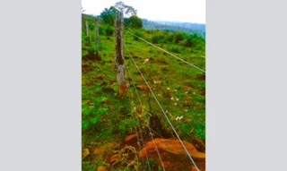 Imóvel 2651775 [''] - ['No 104-E da Gleba 208-SA Nao informado'] [''] - ['Pranchita']/['PR'] - 1