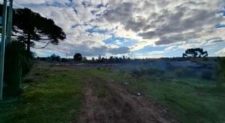 Imóvel 2410075 [''] - ['Bairro Pisani, Lages'] ['Pisani'] - ['Lages']/['SC'] - 1