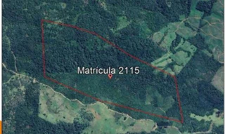 Imóvel 2991975 [''] - ['terreno rural de cultura situado em Faxinal dos Rodrigues ou São Domingos, Município de Inácio Martins'] [''] - ['Inácio Martins']/['PR'] - 1