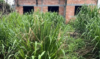 Imóvel 2672376 ['8444422446018'] - ['RUA 20,N. S/N QD 10 LT 08, RES BELA VISTA - CEP: 76390-000, BARRO ALTO - GOIAS'] [''] - ['Barro Alto']/['GO'] - 1