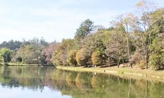 Imóvel 2636376 [''] - ['Via Das Acácias, 670, Pinhal, Cabreúva, SP - CEP: 13318-000, 670 - Pinhal - Cabreúva - SP'] ['Chácara do Pinhal'] - ['Cabreúva']/['SP'] - 1