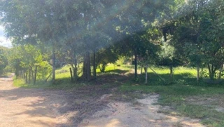 Imóvel 2931476 [''] - ['Rua Projetada, 1389, Parque do Imperador, Magé, RJ'] ['Lagoa'] - ['Magé']/['RJ'] - 1