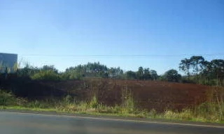 Imóvel 2939076 [''] - ['Rodovia RS128 (Via Láctea), sn - Canabarro - Teutônia - RS'] ['Canabarro'] - ['Teutônia']/['RS'] - 1