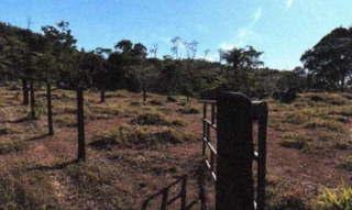 Imóvel 2630176 ['IDR186743'] - ['RO-471, 99-A, Gleba 04, Setor Ipocyssara/Zona Rural de Ministro Andreazza, Ministro Andreazza, RO, 76919-000'] [''] - ['Ministro Andreazza']/['RO'] - 1