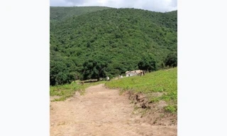 Imóvel em Ponto Dos Volantes/MG
