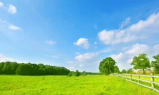 Imóvel 2469576 [''] - ['FAZENDA SALITRE'] [''] - ['Presidente Olegário']/['MG'] - 1