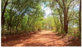 Imóvel 3094576 [''] - ['Fazenda RIBEIRÃO DO CAPOEIRÃO'] [''] - ['Brazabrantes']/['GO'] - 1