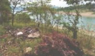 Imóvel 2692276 [''] - ["Estrada Municipal José Vaccari - Bifurcação Á Esquerda, S/N, Bairro da Serrinha, Sentido Rancho Verde e Cond. Arco Íris - Chácara Olhos D'água"] ['Serrinha'] - ['Bragança Paulista']/['SP'] - 1