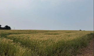 Imóvel 2718076 [''] - ['linha Água Amarela'] [''] - ['Chapecó']/['SC'] - 1