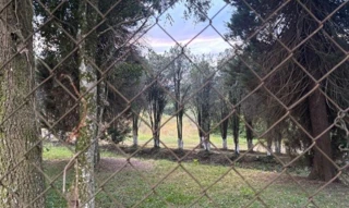 Imóvel 2886776 [''] - ['Travessão Aliança, 800, Lote 01, Monte Bérico, Caxias do Sul/RS. // LINK GOOGLE MAPS: https://www.google.com/maps?q=-29.143909454345703,-51.24449157714844&amp;z=17&amp;hl=pt-BR'] ['Monte Bérico'] - ['Caxias Do Sul']/['RS'] - 1