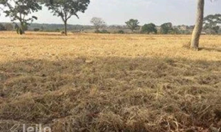 Imóvel 2718176 [''] - ['Alameda Rubi'] [''] - ['Guapó']/['GO'] - 1