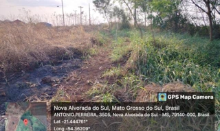 Imóvel 3044476 [''] - ['Avenida Otaviano Marson, 1302, Quadra 105, Lote 03, Loteamento Maria de Lourdes Marson Expansão I, , Nova Alvorada do Sul/MS'] [''] - ['Nova Alvorada Do Sul']/['MS'] - 1