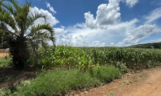 Imóvel 2717476 [''] - ['Interior, s/nº'] [''] - ['Erechim']/['RS'] - 1