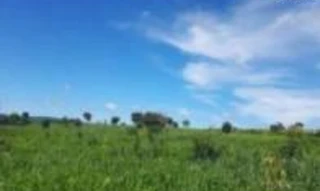 Imóvel 3013676 [''] - ['Fazenda São João, cravado na confrontação com a Rodovia Estadual GO-040 e margem esquerda do Ribeirão da Onça'] [''] - ['Aloândia']/['GO'] - 1