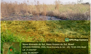 Imóvel 2961376 [''] - ['Avenida Otaviano Marson, 1302 - Quadra 105, Lote 03 - Loteamento Maria de Lourdes Marson Expansão III - Nova Alvorada do Sul / MS'] [''] - ['Nova Alvorada Do Sul']/['MS'] - 1