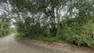 Imóvel 2617476 [''] - ['Avenida Nicola Demarchi, Lt 35 da Qd B, Jardim Capivari, São Bernardo do Campo, SP'] ['Botujuru'] - ['São Bernardo Do Campo']/['SP'] - 1