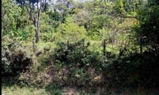 Imóvel 2621176 [''] - ['AV. LOTHAR WALDEMAR HOEHNE, S/N, JARDIM RODEIO'] ['Jardim Rodeio'] - ['Mogi Das Cruzes']/['SP'] - 1