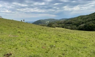 Imóvel 2915677 [''] - [', S/N - INTERIOR'] [''] - ['Silveira Martins']/['RS'] - 1