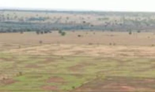 Imóvel 2689877 [''] - ['Fazenda Manaus'] [''] - ['Dois Irmãos Do Buriti']/['MS'] - 1