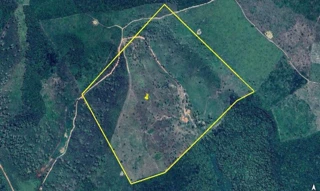 Imóvel 2970877 [''] - ['Situada no Povoado Boi Não Berra, denominada Fazenda 4 Irmãos, Área Rural c/ 42,0489ha - Marajá do Sena/MA'] [''] - ['Marajá Do Sena']/['MA'] - 1