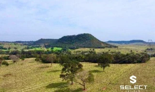 Imóvel 2480777 [''] - ['zona rural do município de Sidrolândia'] [''] - ['Sidrolândia']/['MS'] - 1