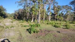 Imóvel 2374177 [''] - ['Rua Prosperidade, Porto Grande'] ['Porto Grande'] - ['Araquari']/['SC'] - 1