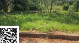 Imóvel 2949577 [''] - ['Lote urbano número 06, da quadra 03, do Loteamento Residencial Braun, situado na rua \\D\\, nesta cidade de Erval Seco, Estado do Rio Grande do Sul'] [''] - ['Erval Seco']/['RS'] - 1
