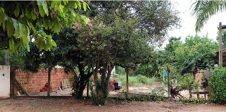 Imóvel 3045277 [''] - ['Avenida das Paineiras,'] [''] - ['Novo Horizonte']/['SP'] - 1