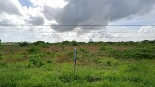 Imóvel 2836777 [''] - ['A. Rural, Area Rural De Caucaia'] [''] - ['Caucaia']/['CE'] - 1