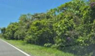 Imóvel 2963177 [''] - ['Rodovia Elísio Pereira Alves Filho (PR-508)'] [''] - ['Matinhos']/['PR'] - 1
