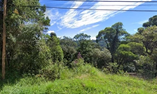Imóvel 2836177 [''] - ['Rua Annita Montesi Rodrigues, Recanto das Araucárias'] ['Recanto Araucária'] - ['Campos Do Jordão']/['SP'] - 1