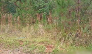 Imóvel 2586777 [''] - ['Rua da Harmonia SN Lote 09 da Quadra D do Loteamento Schaefer'] [''] - ['Nova Petrópolis']/['RS'] - 1