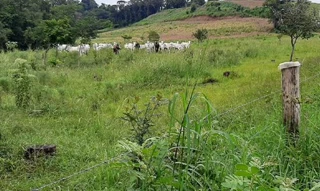 Imóvel 2596577 [''] - ['Nao informado Nao informado'] [''] - ['Trindade Do Sul']/['RS'] - 1