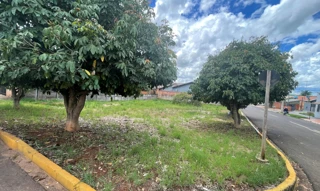 Imóvel 2918077 [''] - ['Rua Valdeci Feltrin, nº 225, Lote 06-F, Quadra 49, Loteamento Patrimônio do Paraíso, Cep 79556-000, Paraíso das Águas/MS'] [''] - ['Paraíso Das Águas']/['MS'] - 1