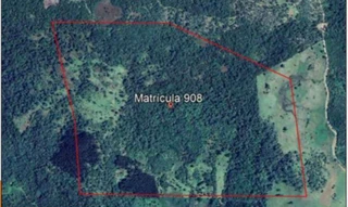 Imóvel 2991977 [''] - ['terreno rural de terras agrícolas, constituído pela totalidade da gleba nº.6-A'] [''] - ['Inácio Martins']/['PR'] - 1